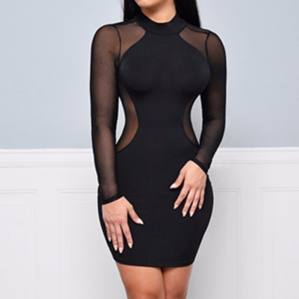 Mini Dress with Chiffon Mesh